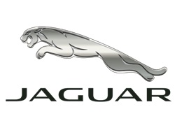 <p><span style="font-weight: 700;">Jaguar</span></p>